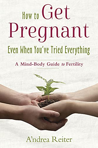 Beispielbild fr How to Get Pregnant, Even When Youve Tried Everything: A Mind-Body Guide to Fertility zum Verkauf von Zoom Books Company