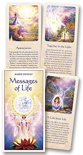 9780738758749: Messages of Life