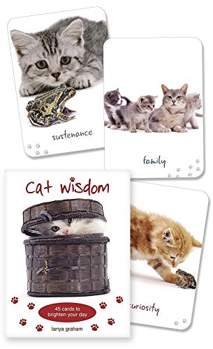 Stock image for Cat Wisdom Cards for sale by Save With Sam