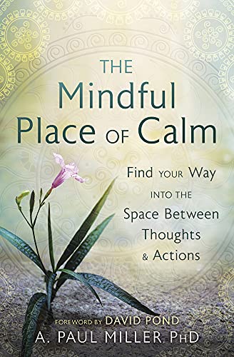 Stock image for The Mindful Place of Calm: Find Your Way into the Space Between Thoughts & Actions for sale by SecondSale