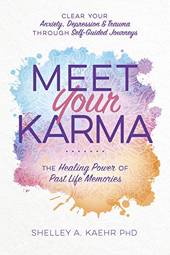 Beispielbild fr Meet Your Karma: The Healing Power of Past Life Memories zum Verkauf von KuleliBooks