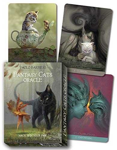 Imagen de archivo de Barbieri Fantasy Cats Oracle a la venta por SecondSale