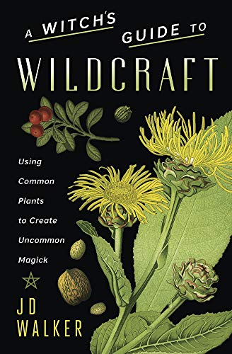 9780738765433: A Witch's Guide to Wildcraft: Using Common Plants to Create Uncommon Magick