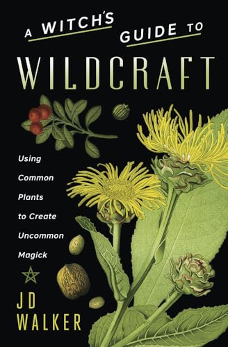 Stock image for A Witch's Guide to Wildcraft: Using Common Plants to Create Uncommon Magick for sale by Revaluation Books