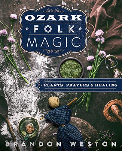 Imagen de archivo de Ozark Folk Magic: Plants, Prayers & Healing a la venta por HPB Inc.