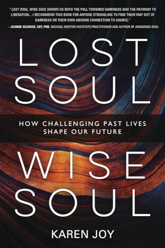 Stock image for Lost Soul, Wise Soul: How Challenging Past Lives Shape Our Future for sale by Goodwill Southern California