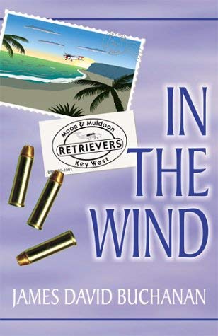9780738832890: In the Wind
