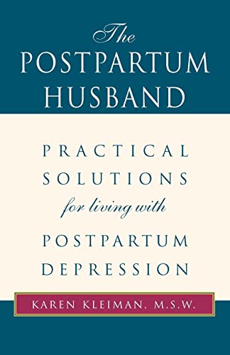 Imagen de archivo de The Postpartum Husband: Practical Solutions for living with Postpartum Depression a la venta por Goodwill Books