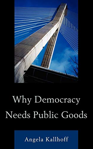 9780739151006: Why Democracy Needs Public Goods