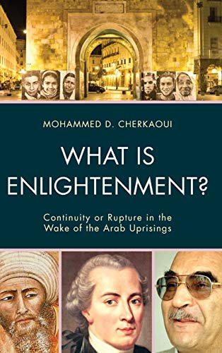 Imagen de archivo de What Is Enlightenment?: Continuity or Rupture in the Wake of the Arab Uprisings a la venta por Revaluation Books