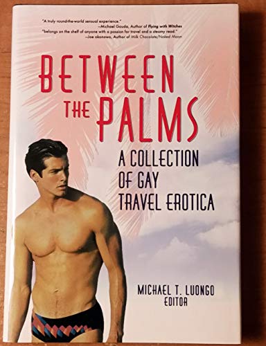 Stock image for Between the Palms: A Collection of Gay Travel Erotica for sale by ThriftBooks-Dallas