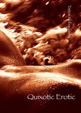 Stock image for Quixotic Erotic