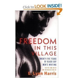 9780739449950: Freedom in This Village: Twenty-Five Years of Black Gay Men's Writing