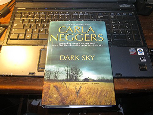 Imagen de archivo de Dark Sky a la venta por SecondSale