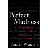 Beispielbild fr Perfect Madness (Motherhood in the Age of Anxiety) zum Verkauf von Wonder Book