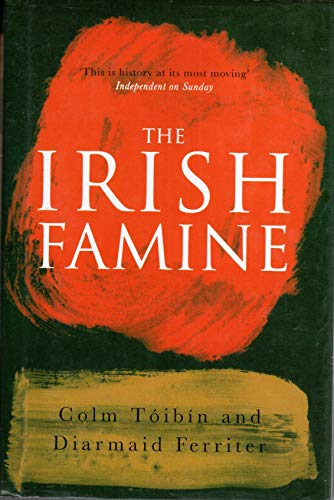 Imagen de archivo de The Irish Famine a la venta por SecondSale