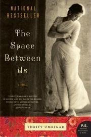 Beispielbild fr Space Between Us zum Verkauf von Better World Books