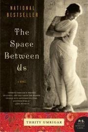 Imagen de archivo de Space Between Us a la venta por Better World Books