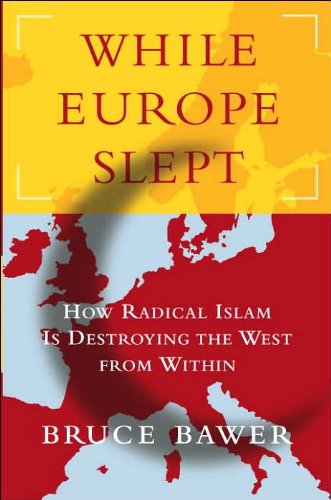 Stock image for While Europe Slept for sale by Better World Books