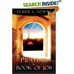Stock image for Praying the Book of Job for sale by Better World Books
