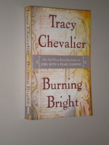 Imagen de archivo de Burning Bright a la venta por Better World Books