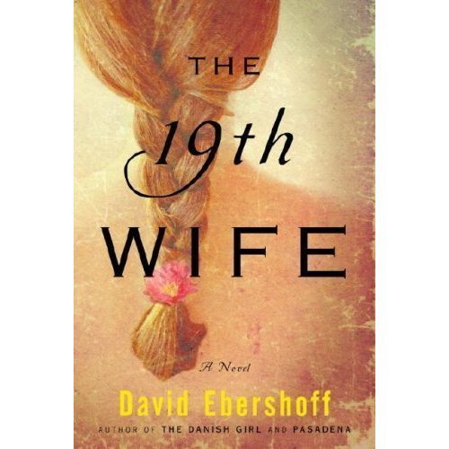 Imagen de archivo de The 19th Wife [19TH WIFE] a la venta por Better World Books