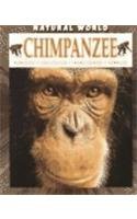 Chimpanzee (Natural World (Paperback Raintree)) - Martin Banks