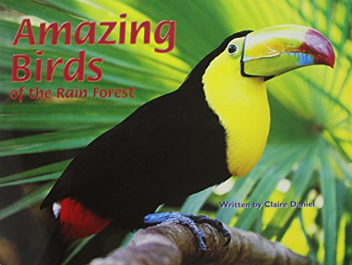 Beispielbild fr Amazing Birds of the Rain Forest (Pair-It Books) zum Verkauf von SecondSale