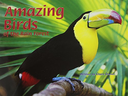 Imagen de archivo de Amazing Birds of the Rain Forest (Pair-It Books) a la venta por SecondSale