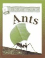 Beispielbild fr Ants zum Verkauf von Better World Books: West