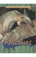Imagen de archivo de Anteaters a la venta por ThriftBooks-Dallas