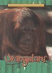 Imagen de archivo de Orangutans a la venta por Better World Books