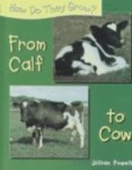 Stock image for From Calf to Cow (How Do They Grow?) for sale by Ergodebooks