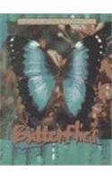 9780739846803: Butterflies (Animals of the Rain Forest)