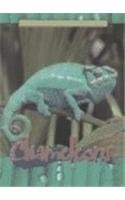 Stock image for Chameleons (Animals of the Rain Forest) for sale by Front Cover Books
