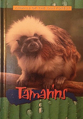 Beispielbild fr Tamarins (Animals of the Rain Forest) zum Verkauf von Dailey Ranch Books