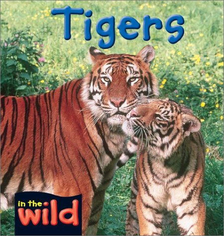 Stock image for Tigers (In the Wild) for sale by HPB-Emerald
