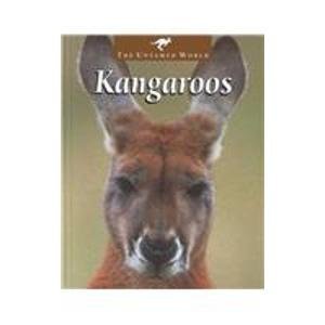 9780739849729: Kangaroos (Untamed World (Hardcover))