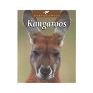 Stock image for Kangaroos for sale by Better World Books