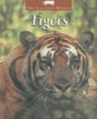 9780739849736: Tigers (Untamed World)