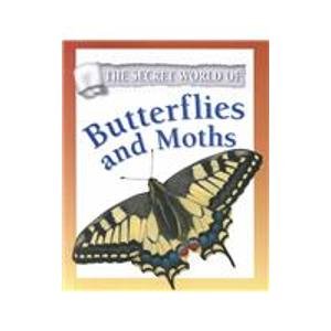 Stock image for The Secret World of Butterflies and Moths for sale by SecondSale