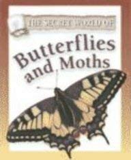 Stock image for The Secret World of Butterflies and Moths for sale by SecondSale