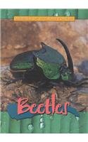 Beispielbild fr Beetles zum Verkauf von Better World Books