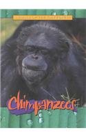 9780739853702: Chimpanzees (Animals of the Rain Forest)