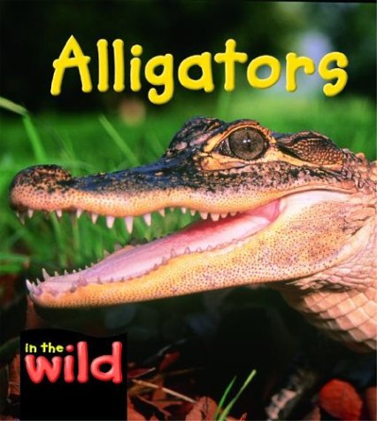 9780739854952: Alligators (In the Wild)