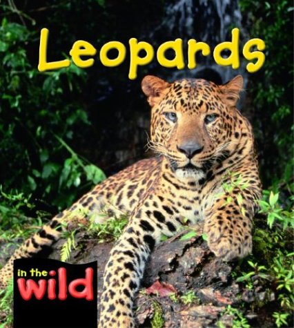 Beispielbild fr Leopards zum Verkauf von Better World Books