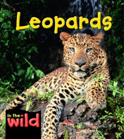 Stock image for Leopards for sale by Better World Books