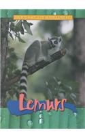 9780739855287: Lemurs (Animals of the Rain Forest)