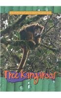 Beispielbild fr Tree Kangaroos zum Verkauf von Better World Books