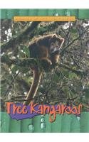 9780739855324: Tree Kangaroos (Animals of the Rain Forest)